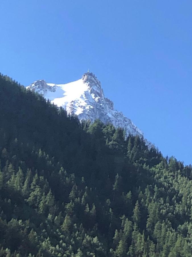 Aiguille Du Midi - Le Chamo'Nid Διαμέρισμα Σαμονί Εξωτερικό φωτογραφία