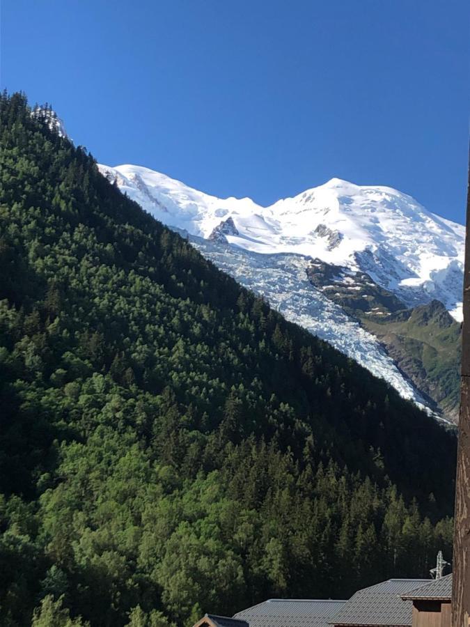 Aiguille Du Midi - Le Chamo'Nid Διαμέρισμα Σαμονί Εξωτερικό φωτογραφία